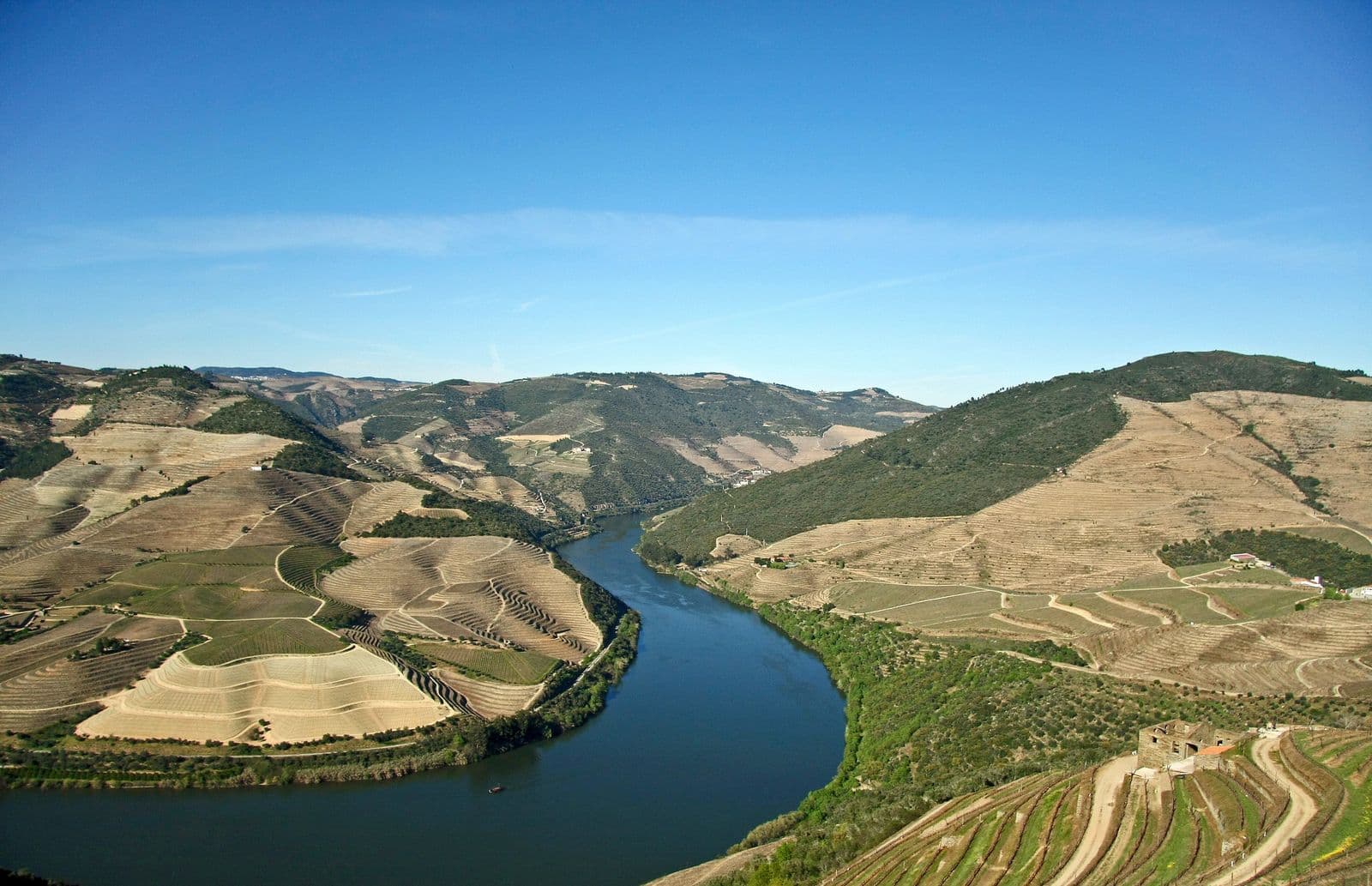 Panoramic view of the terraced Douro Valley river bends and vineyard quintas in Portugal