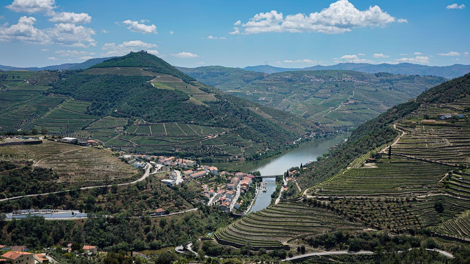 Scenic aerial view of Douro Valley vineyards and river