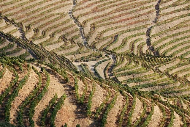 Quinta de la Rosa