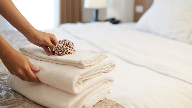 Star inn Porto